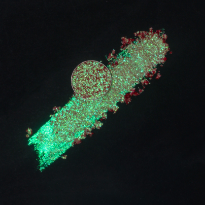 Coalescence x noopur_makeup Pressed Pigment Single- Aurora