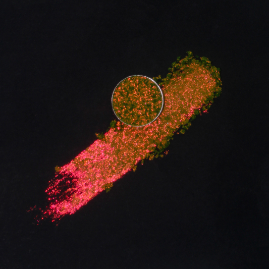 Coalescence x noopur_makeup Pressed Pigment Single- Radioactive