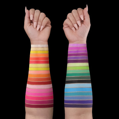Arch of Color Magnetic Palette and Shimmer Singles Bundle