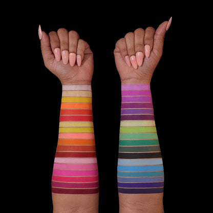 Arch of Color Magnetic Palette and Shimmer Singles Bundle