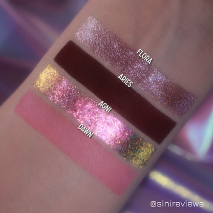 Coalescence x noopur_makeup Magnetic Palette