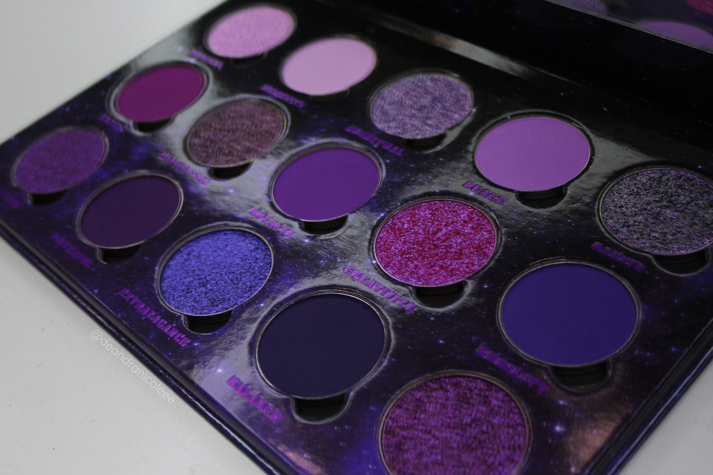 Ultra Violet x Deandranicoleee Magnetic Palette